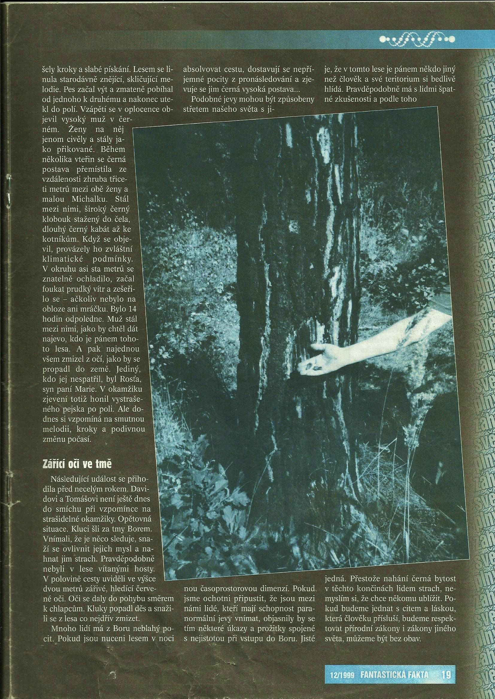 Fantastická fakta, Tajemný les 12-1999 2/2